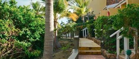 A pathway with steps leading to a building, surrounded by lush greenery and palm trees.