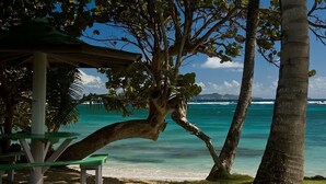 Unclassified image, 4 of 39, button - Sugar Reef Bequia - Adults only (Bequia Island)