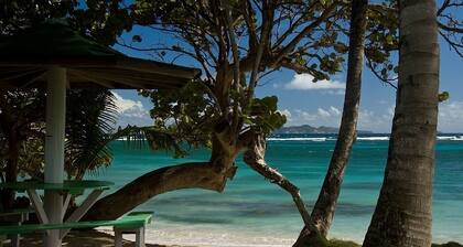 Sugar Reef Bequia - Adults only