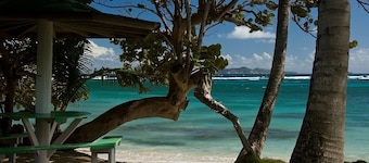 Sugar Reef Bequia - Adults only