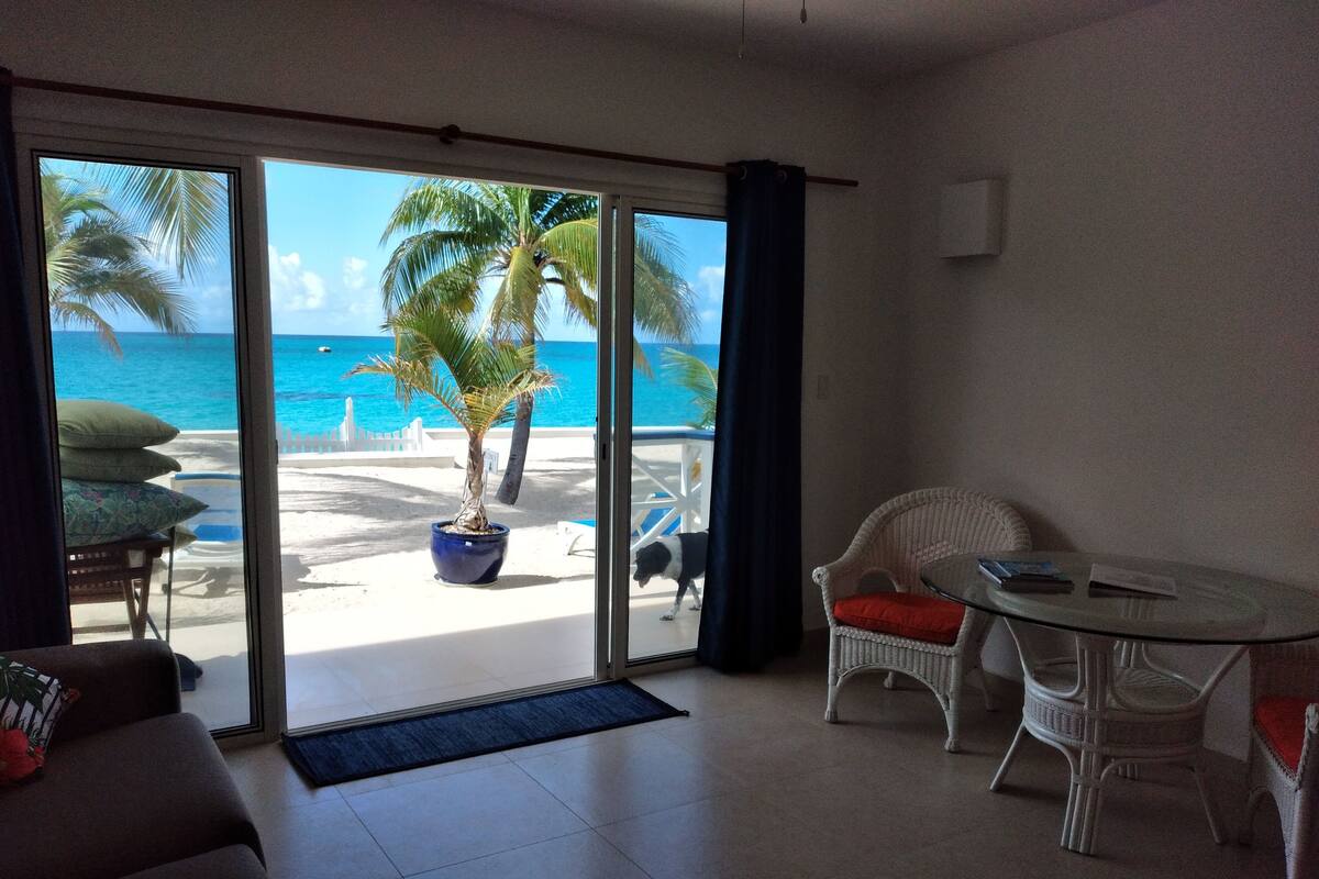 Flamboyant | View from room