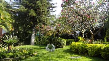 Un jardín bien cuidado con diversas plantas y árboles, un sendero de piedra y un farol.