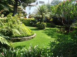 Un exuberante jardín con diversas plantas y un sendero de piedra.