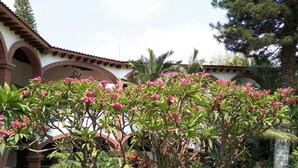 スイート | 庭園