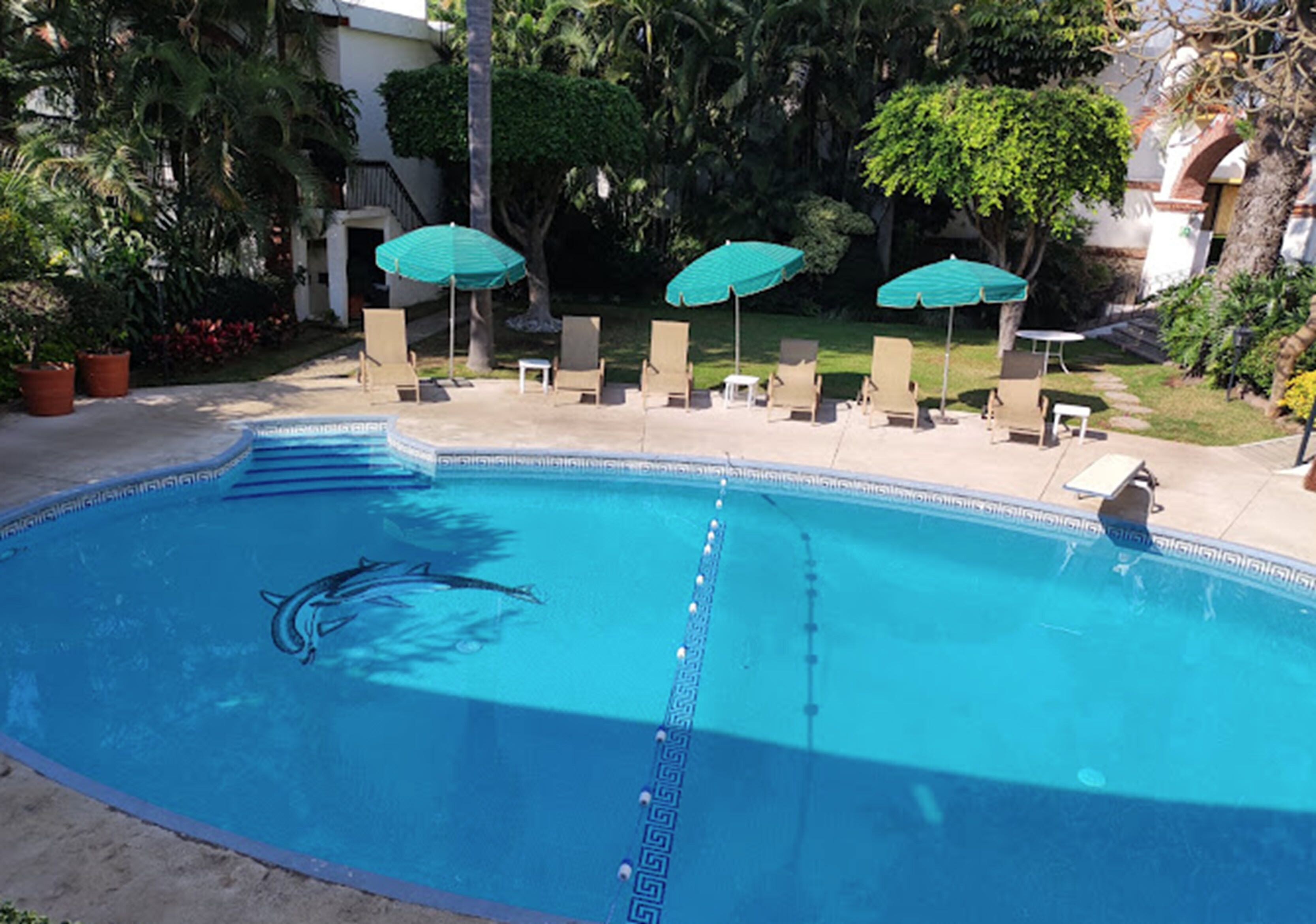 outdoor pool, open 8:00 am to 8:00 pm, pool loungers