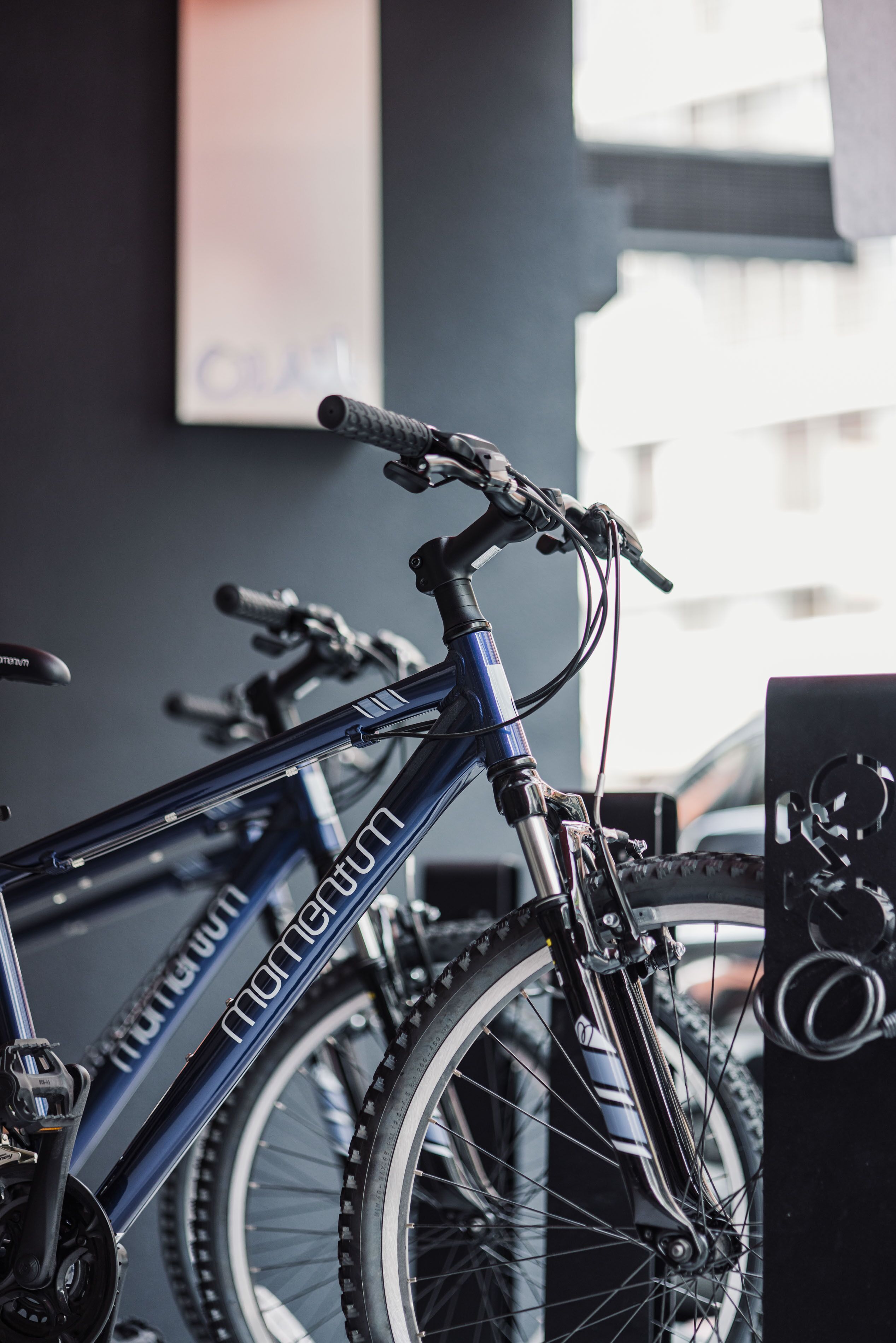 Una bicicleta con una marca visible, sujeta a un portaequipajes.