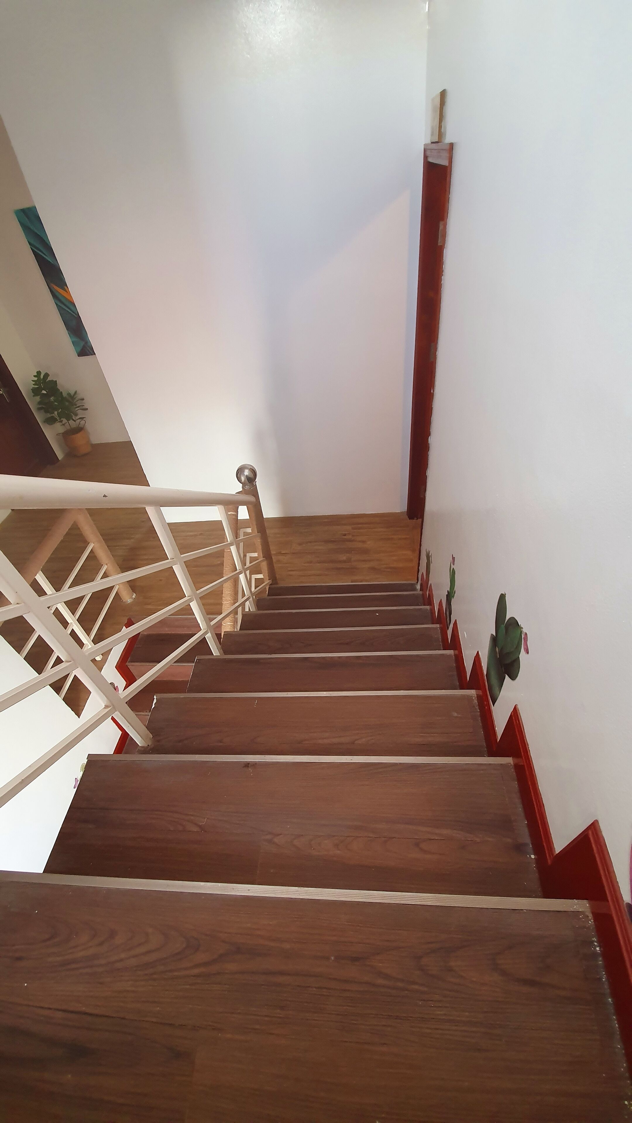 Una escalera de madera con barandillas blancas y detalles rojos que conduce a una plataforma con una planta en maceta.