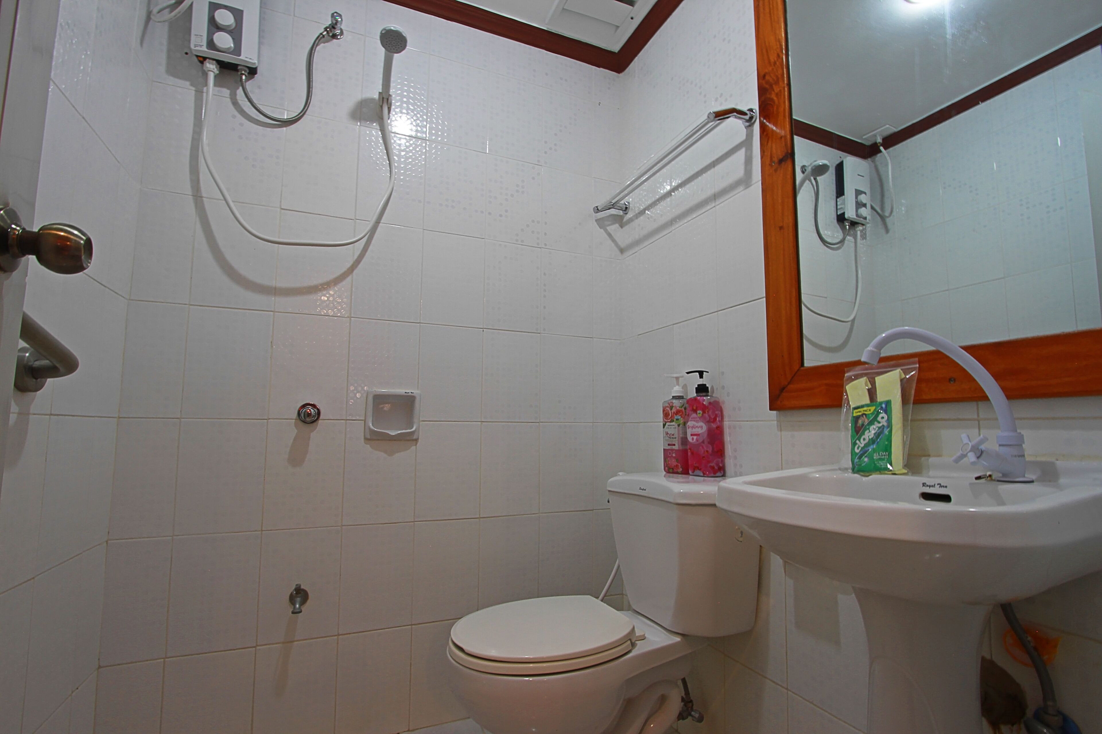 shower, free toiletries, hair dryer, bidet
