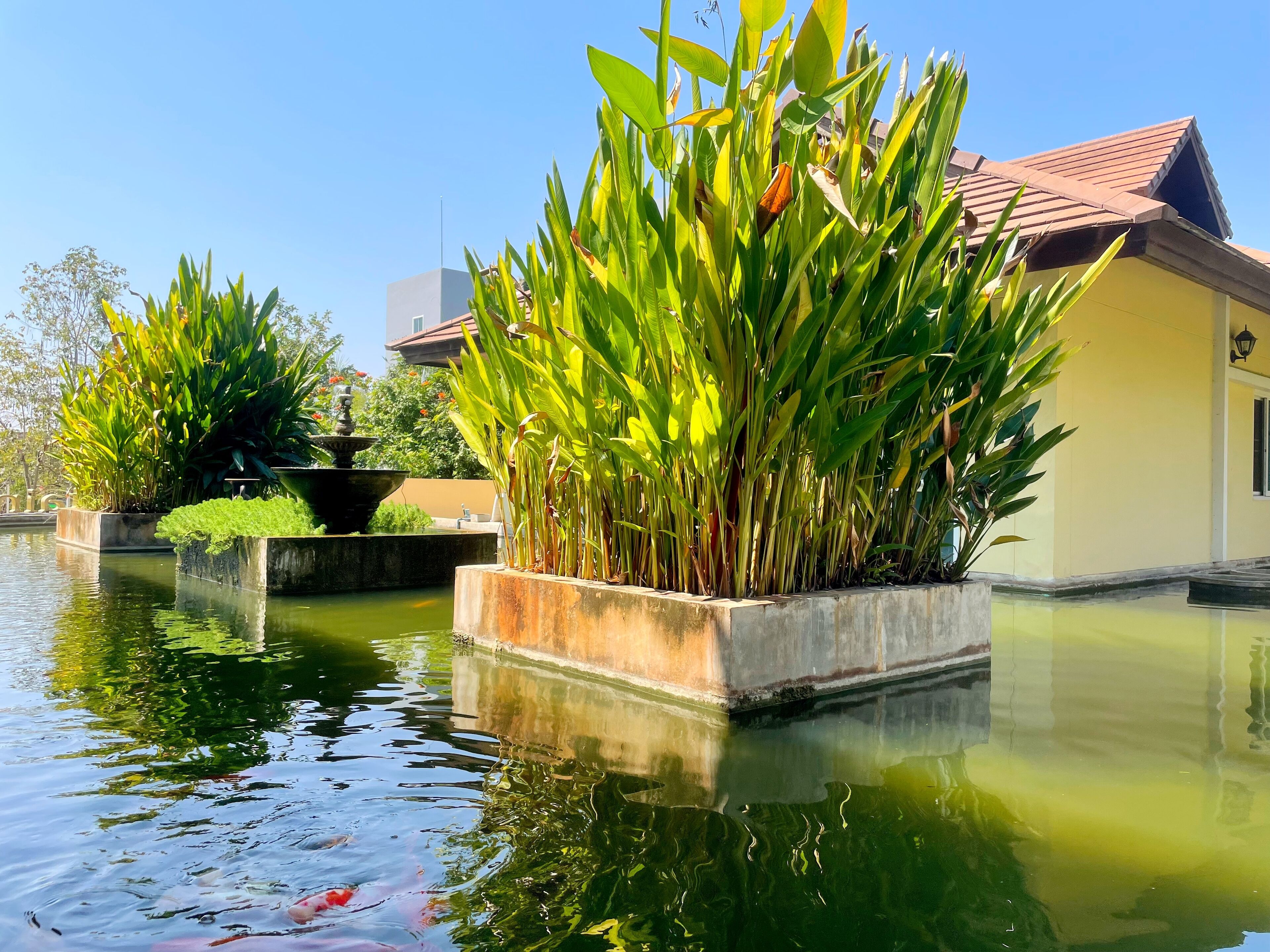 Foto - Mountain Creek Wellness Resort