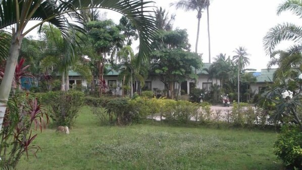 Property grounds - Bed & Breakfast Service Guesthouse (Koh Samui)