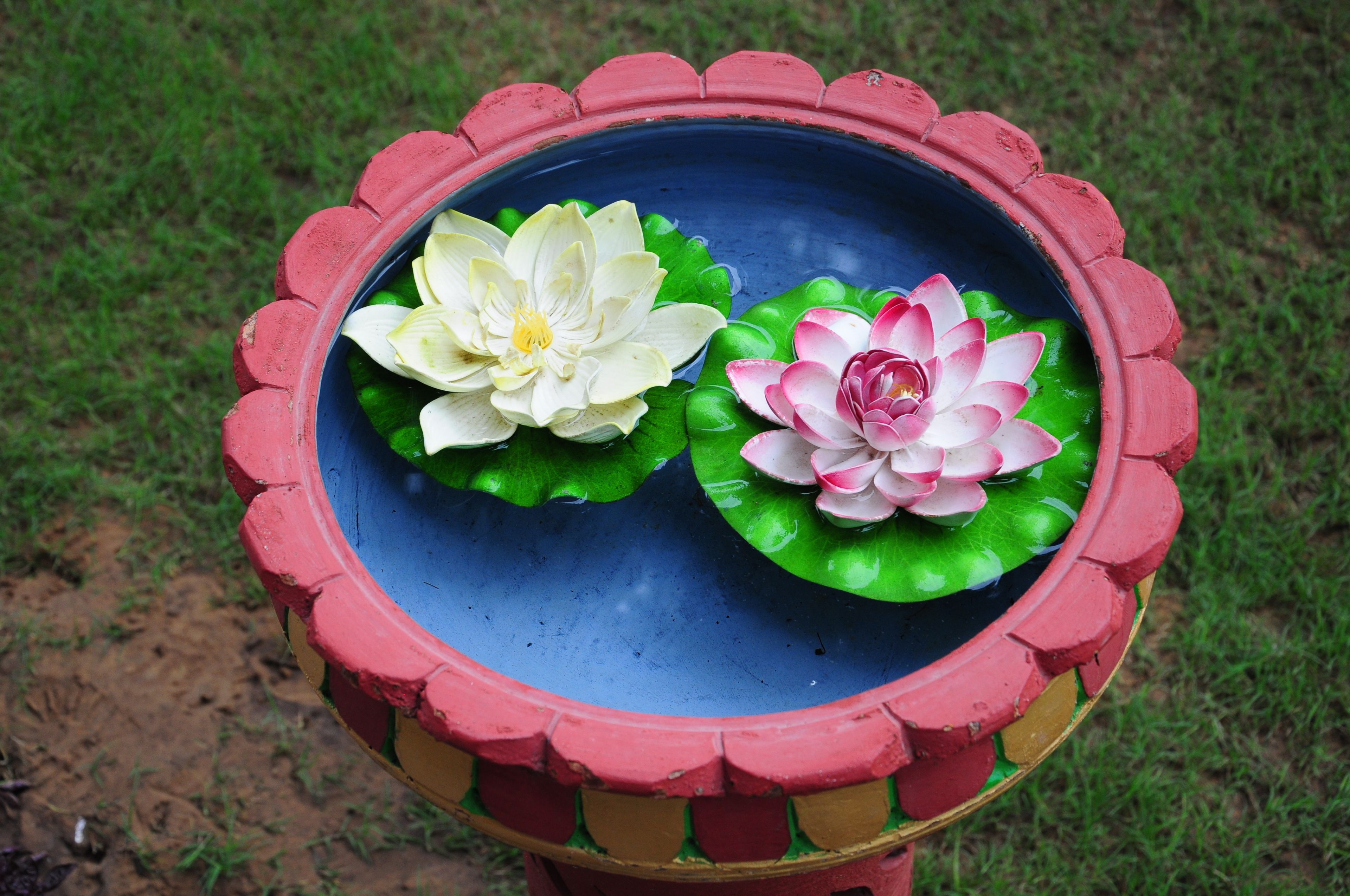 Un bebedero para pájaros con dos flores de loto en el agua, rodeado por un borde pintado.