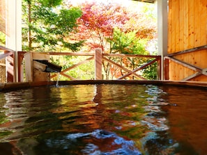 Hot springs - Hina no Yakata Matsunoi (Takayama)