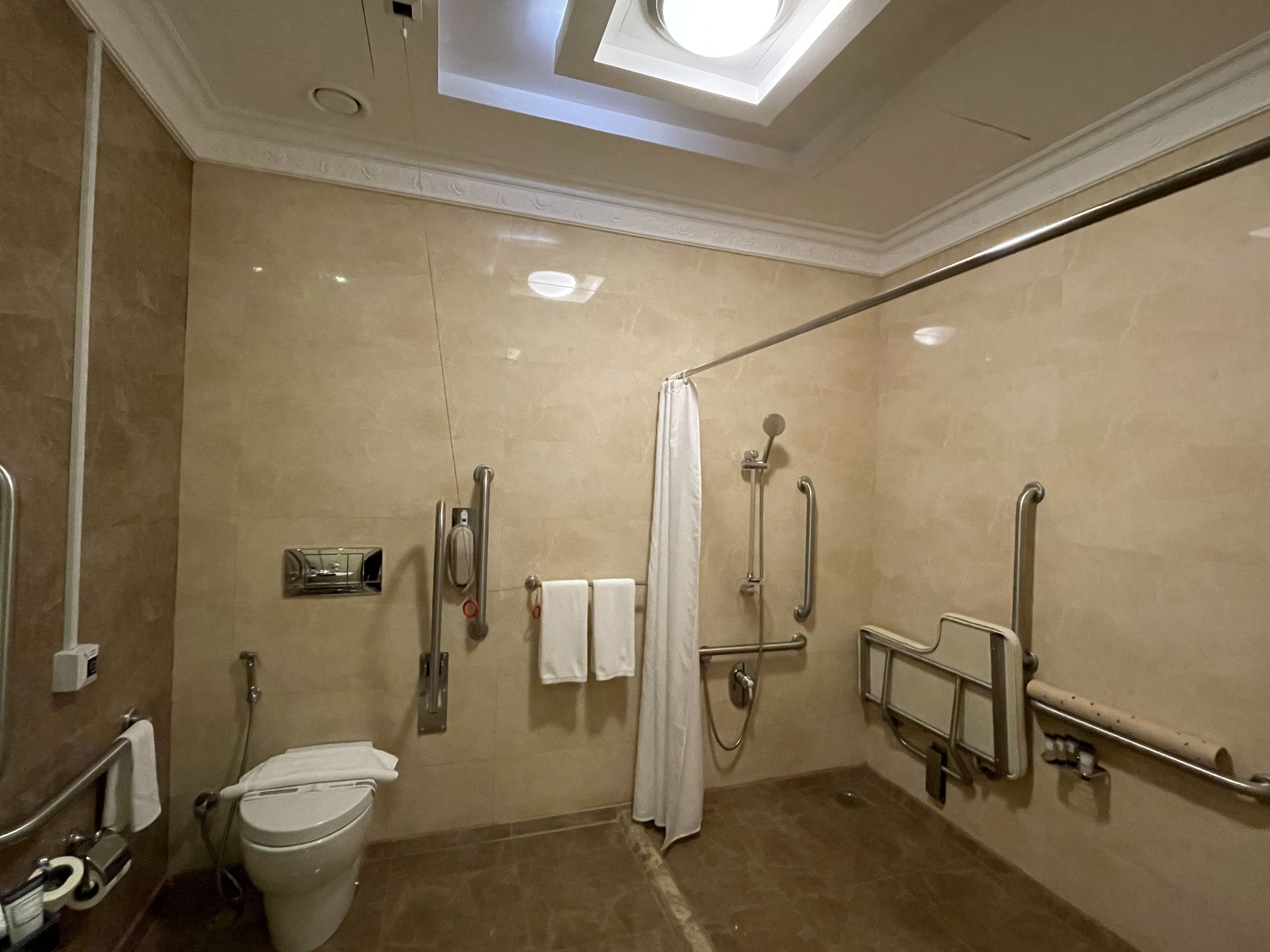 A modern bathroom with a walk-in shower, grab bars, a toilet, and a hand dryer.