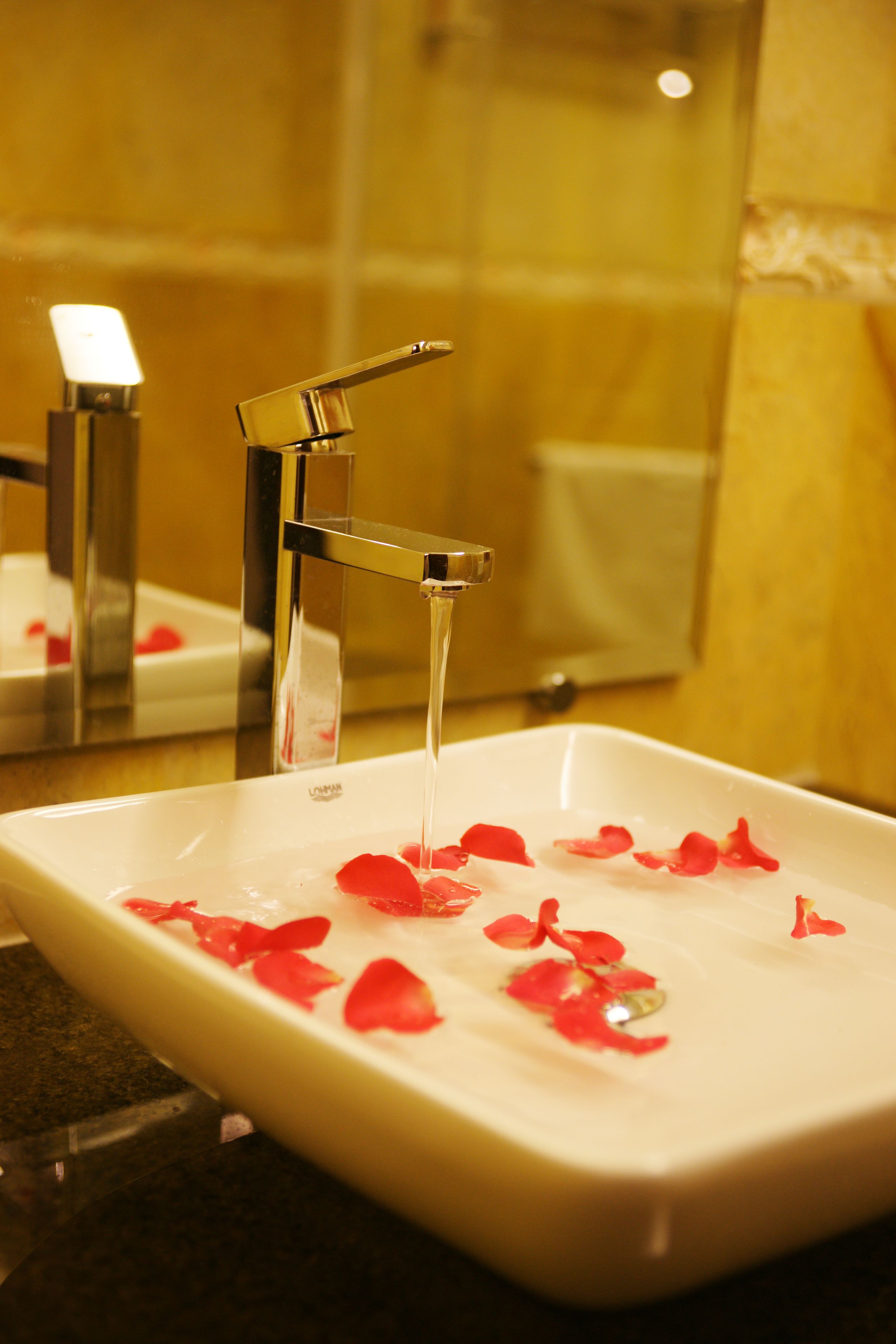 shower, rainfall showerhead, free toiletries, hair dryer