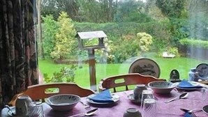 A dining table set with plates, bowls, and cutlery, overlooking a garden with a birdhouse and greenery. - Fern Rock B&B (Milltown)