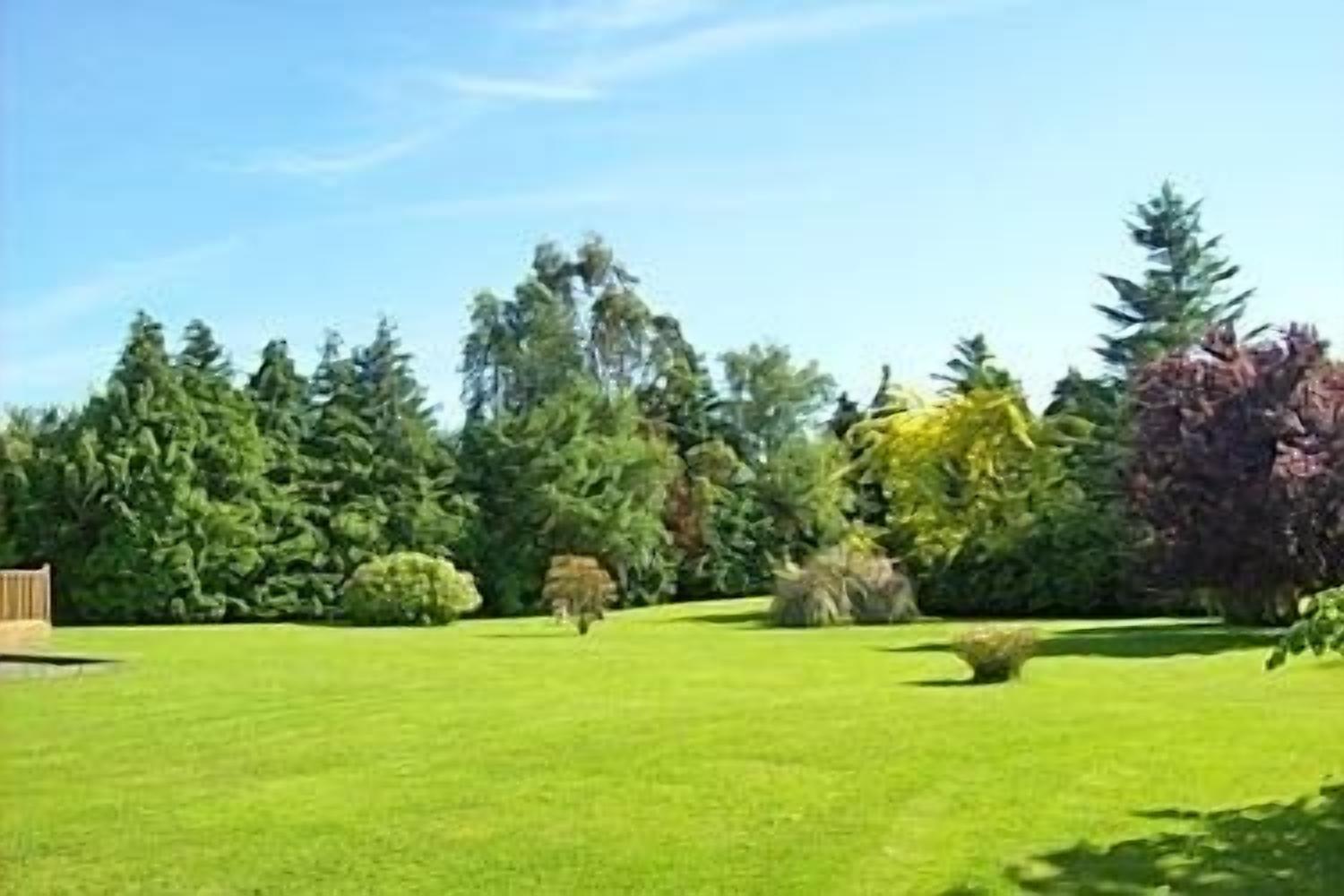 Área de parrilladas y picnic