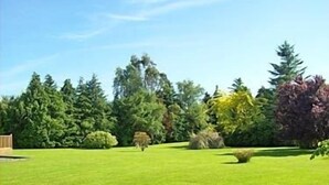 A well-maintained lawn with various trees and shrubs. - Fern Rock B&B (Milltown)