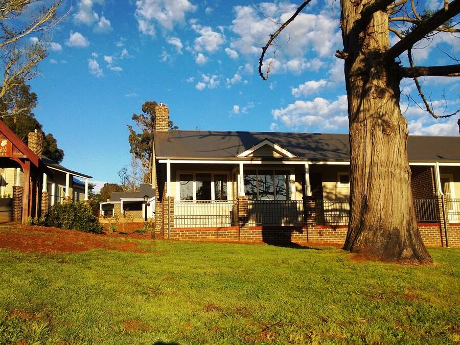 A residential property with a large lawn, a prominent tree, and a brick house with a porch.