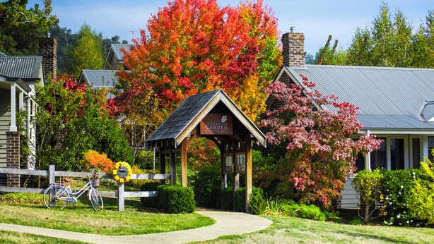 A garden pavilion with a brick chimney, surrounded by lush greenery and autumn foliage. - Marysville Garden Cottages (Marysville)