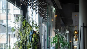 Interior de restaurante con una mesa para dos, plantas en macetas y lámparas de diseño moderno.