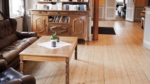 Un salon avec un canapé en cuir marron, une table basse en bois agrémentée d’une plante, et un meuble en bois contenant des livres et des objets décoratifs.