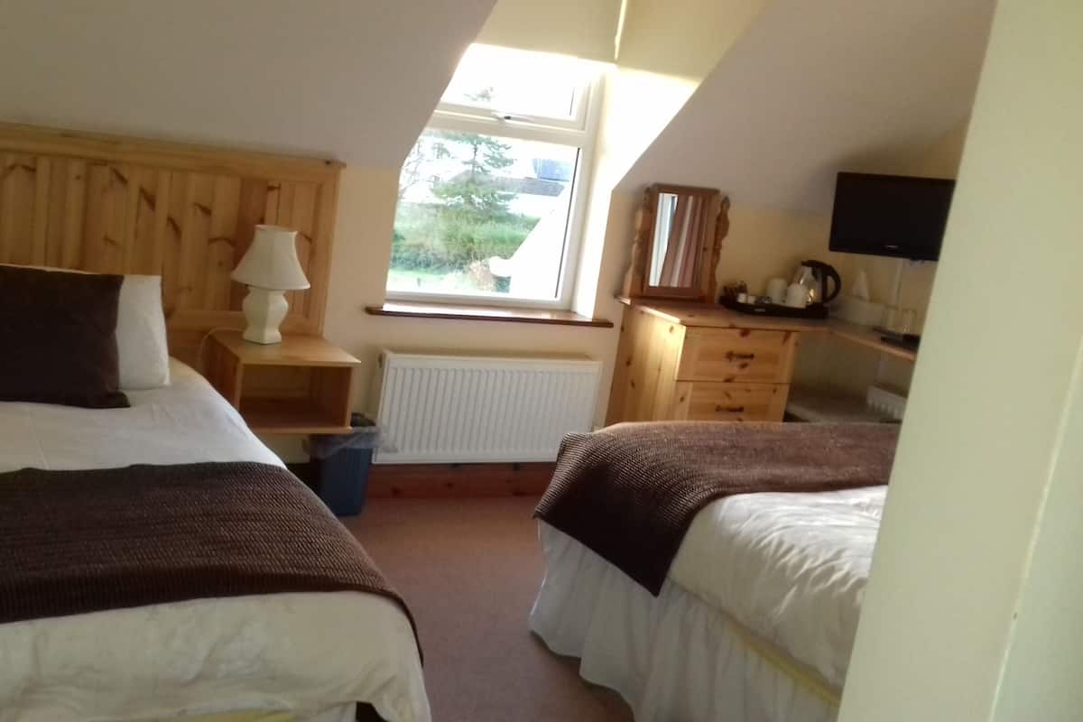 Une chambre avec deux lits, une table de chevet avec une lampe, une commode, un radiateur et une fenêtre donnant sur un paysage verdoyant.
