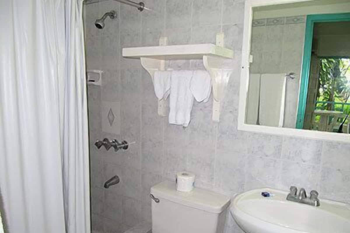 Combined shower/bathtub, free toiletries, towels