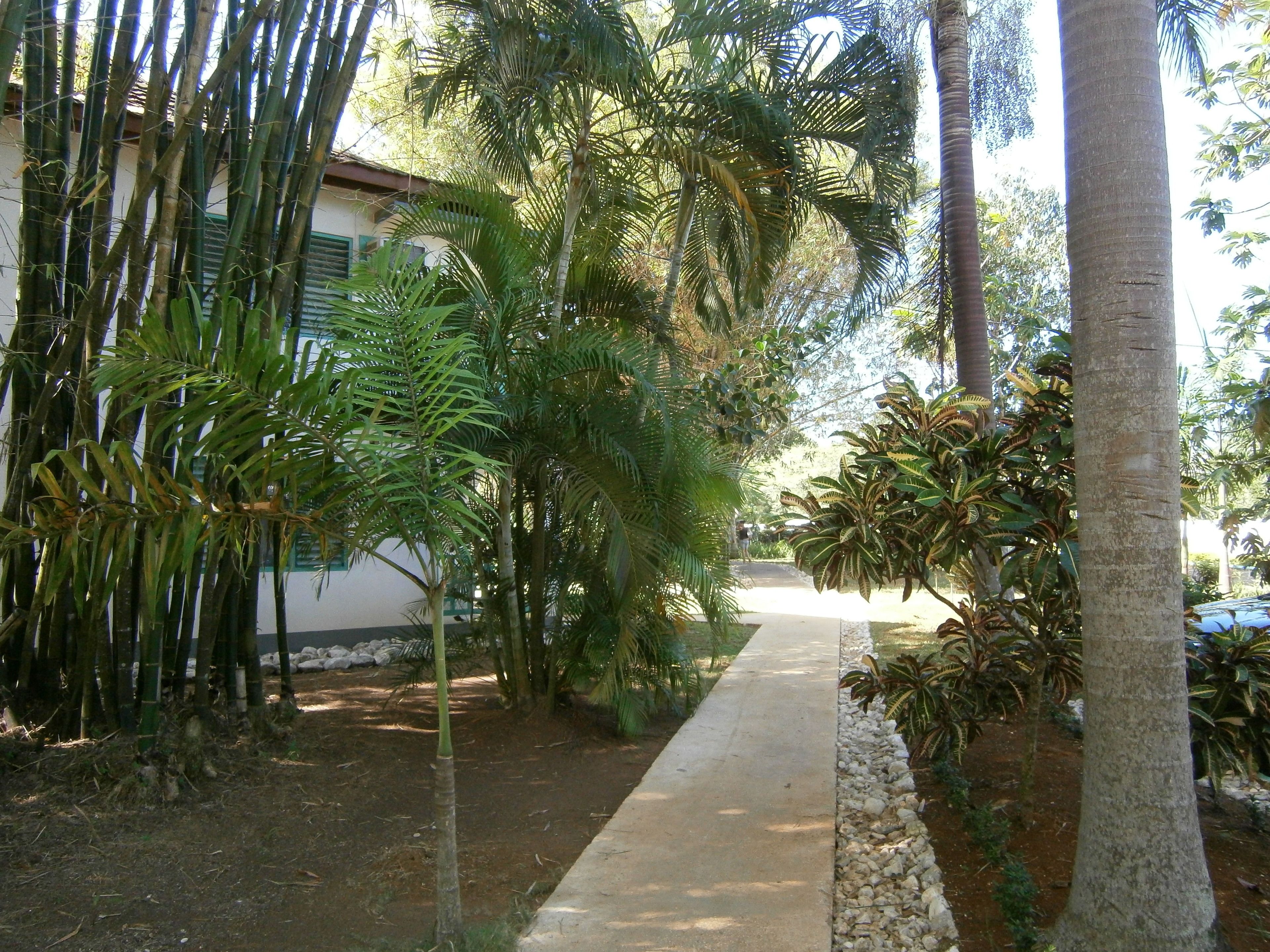 Property grounds