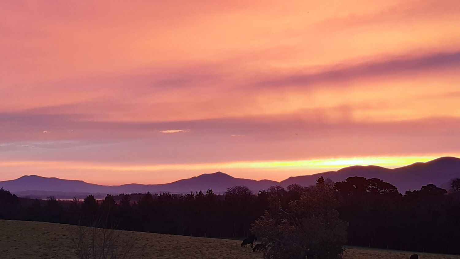 A sunset over a mountainous landscape with silhouettes of trees and a field.