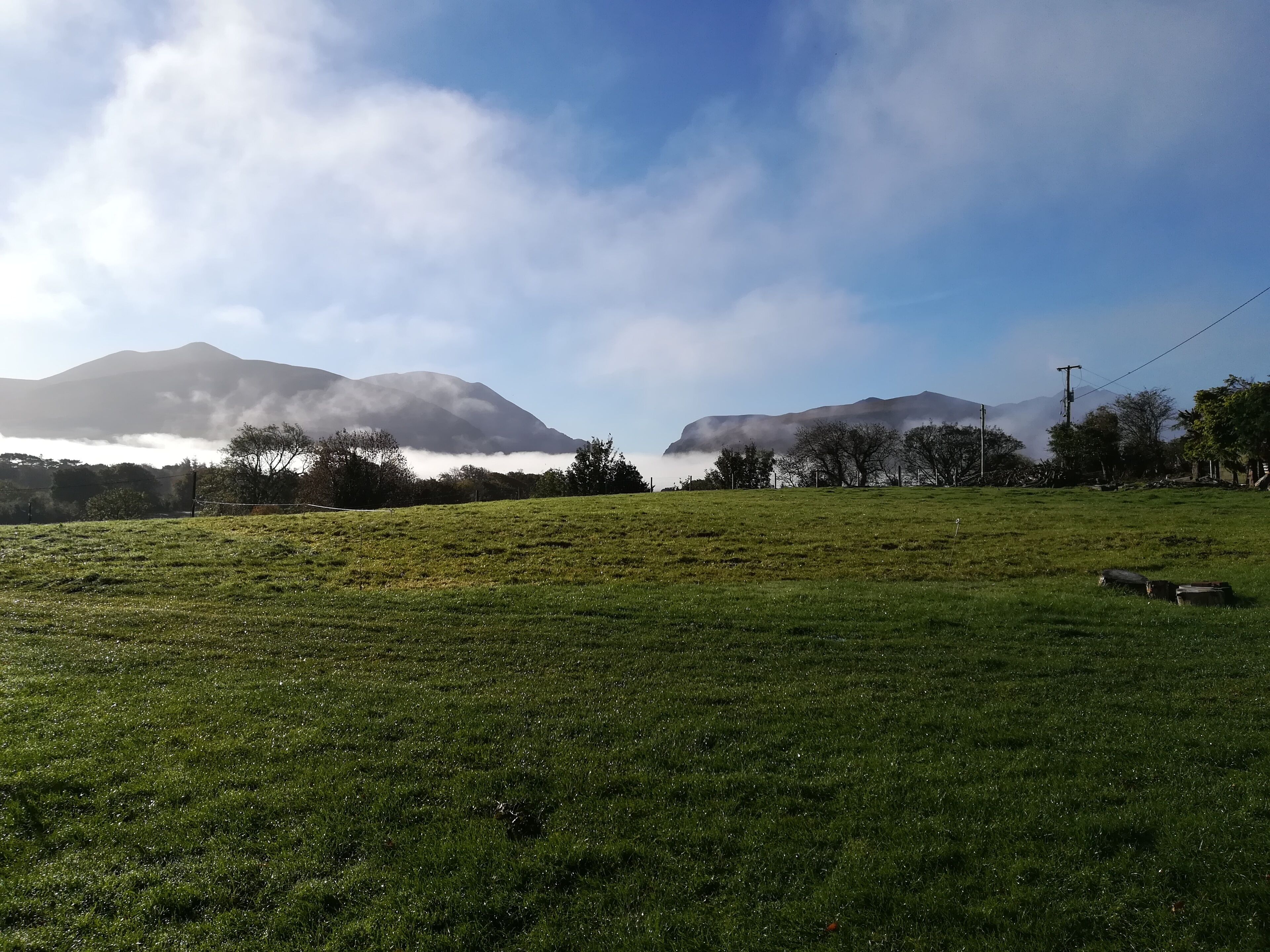 A grassy field with a mountain in the background.