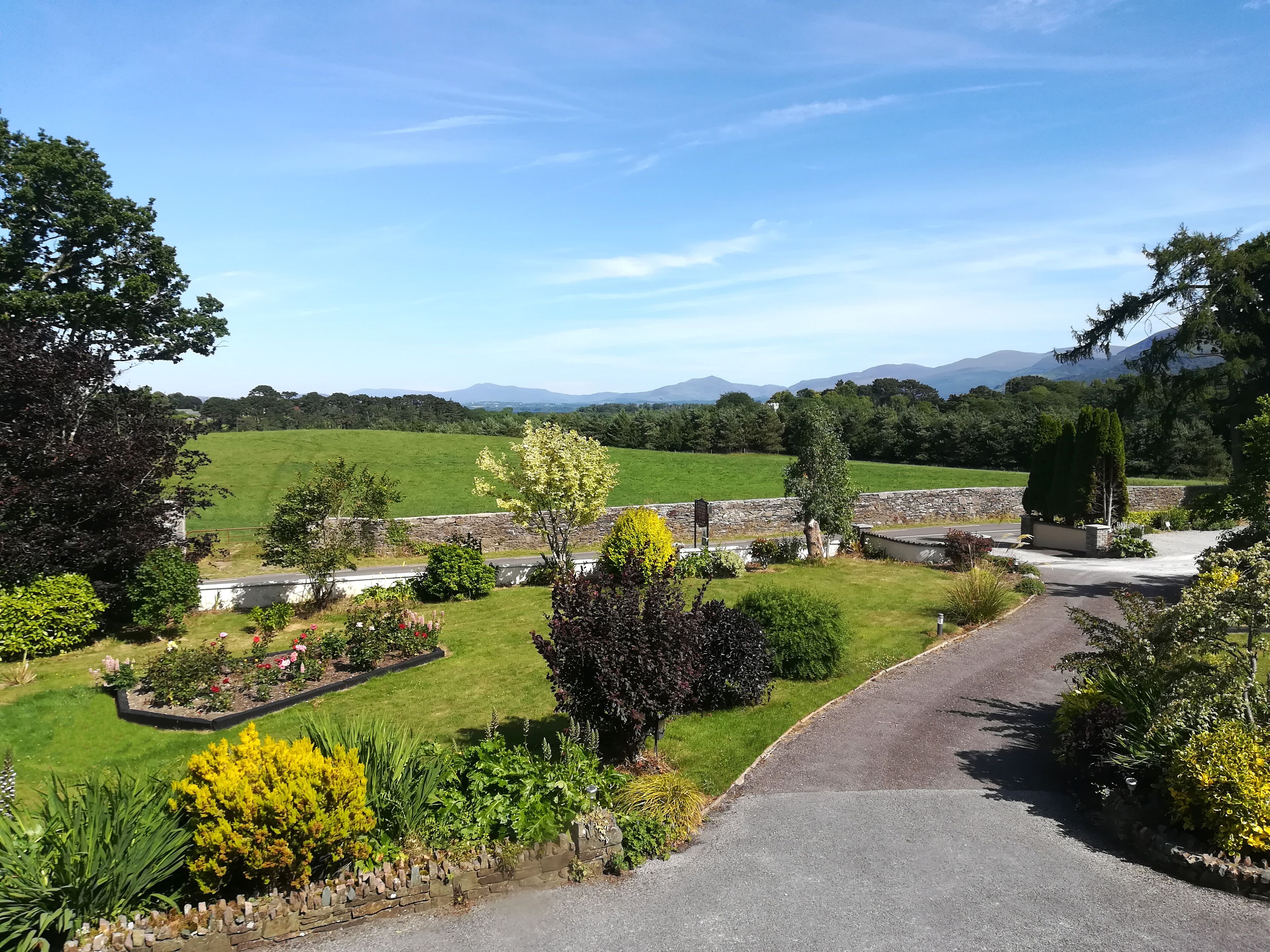 A rural landscape with a stone wall, a paved driveway, and a variety of greenery including trees and shrubs.