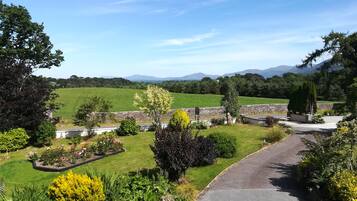 A rural landscape with a stone wall, a paved driveway, and a variety of greenery including trees and shrubs.