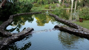 Un estanque tranquilo en un jardín, con borde de piedra, abundante vegetación y un puente al fondo.