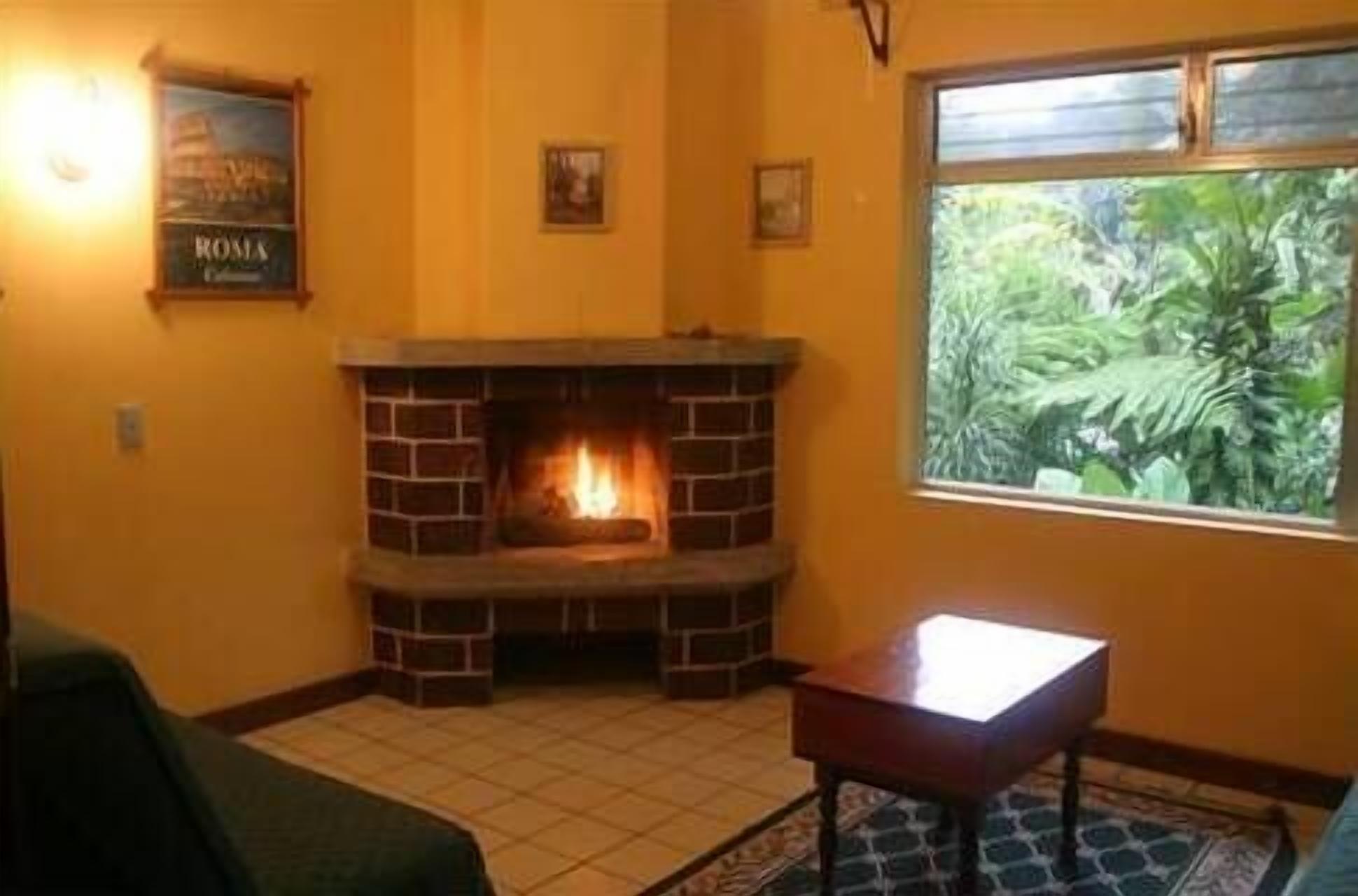 Una habitación con chimenea, una ventana con vista a follaje y un cuadro en la pared.