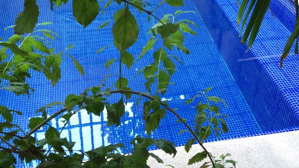 Una piscina con baldosas azules y un borde alicatado.
