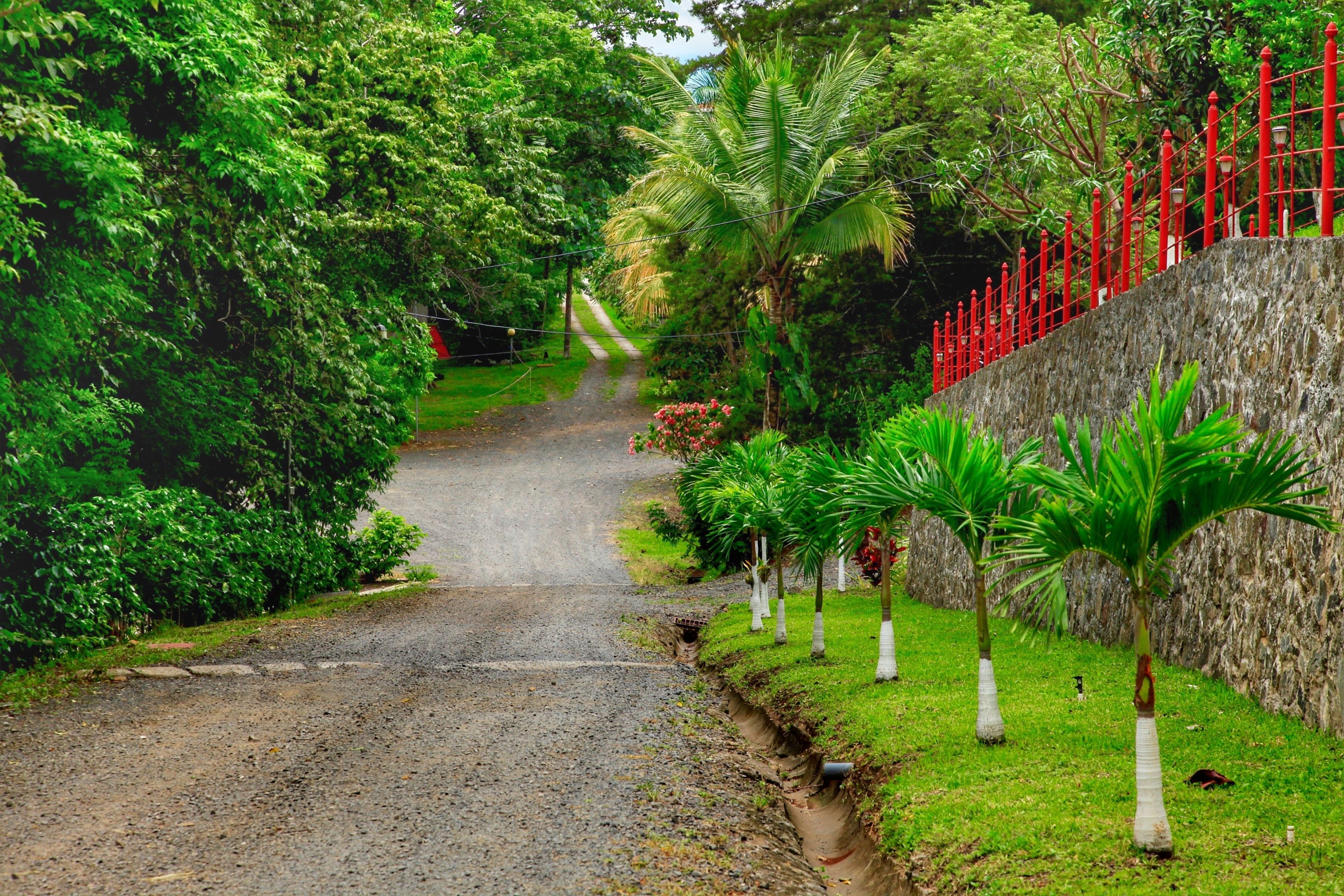 Un chemin de gravier bordé d’une végétation luxuriante et d’une clôture rouge.