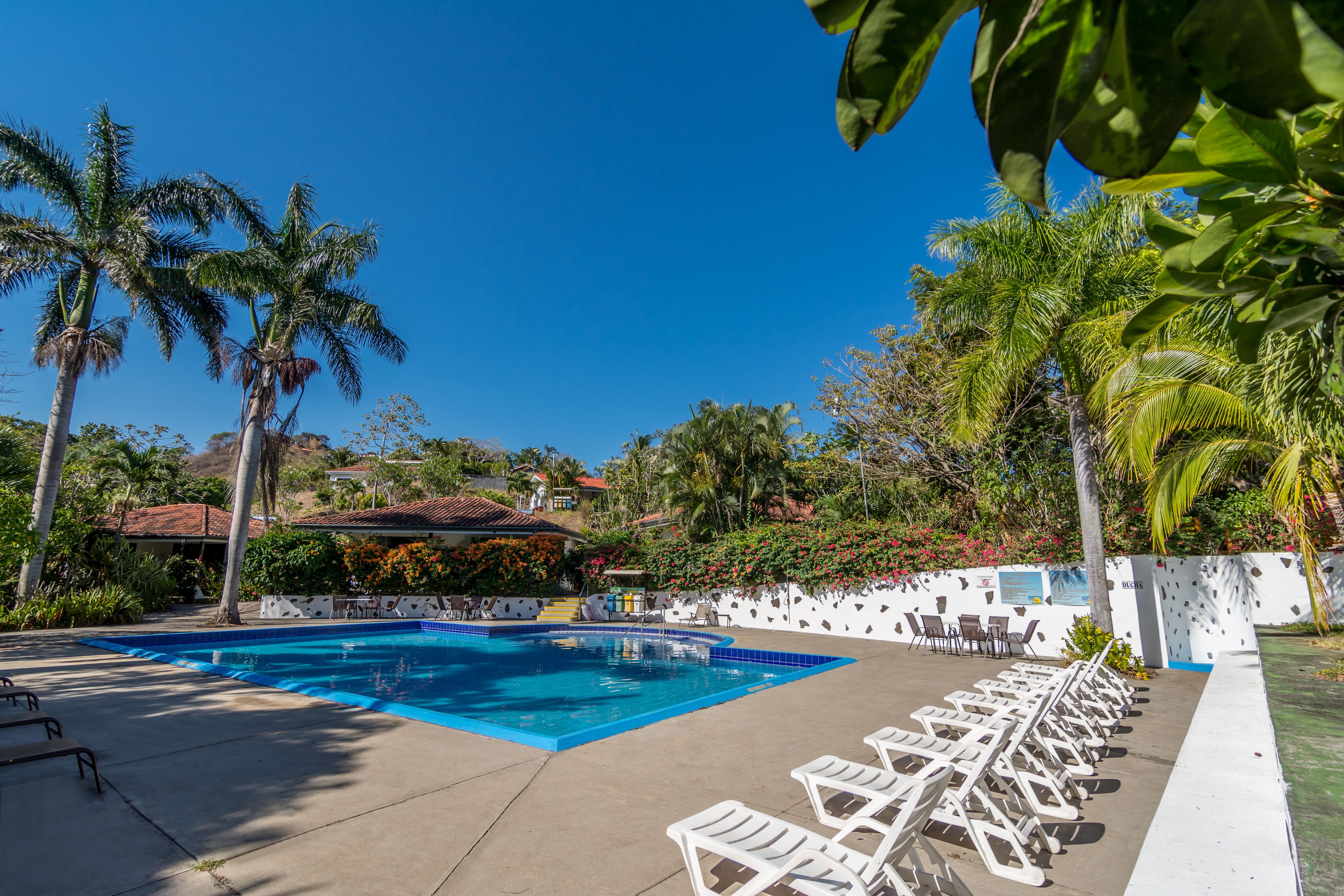 Piscina com espreguiçadeiras, cercada por palmeiras e um muro branco com um mural.