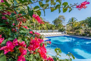 Una piscina rodeada de exuberante follaje y flores rosadas.
