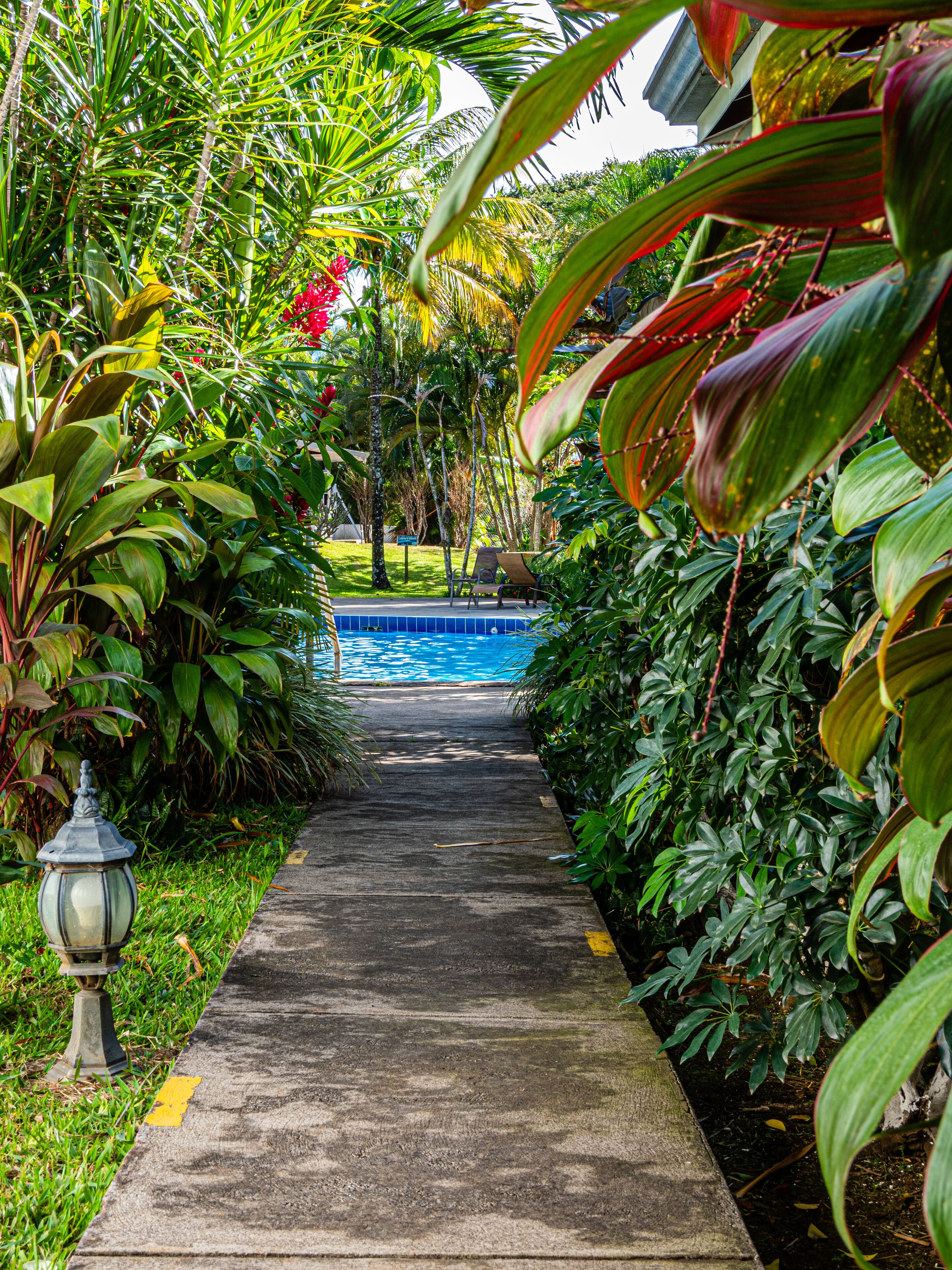 ガーデン ビュー