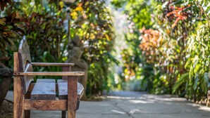 A wooden bench in a garden with a concrete path.