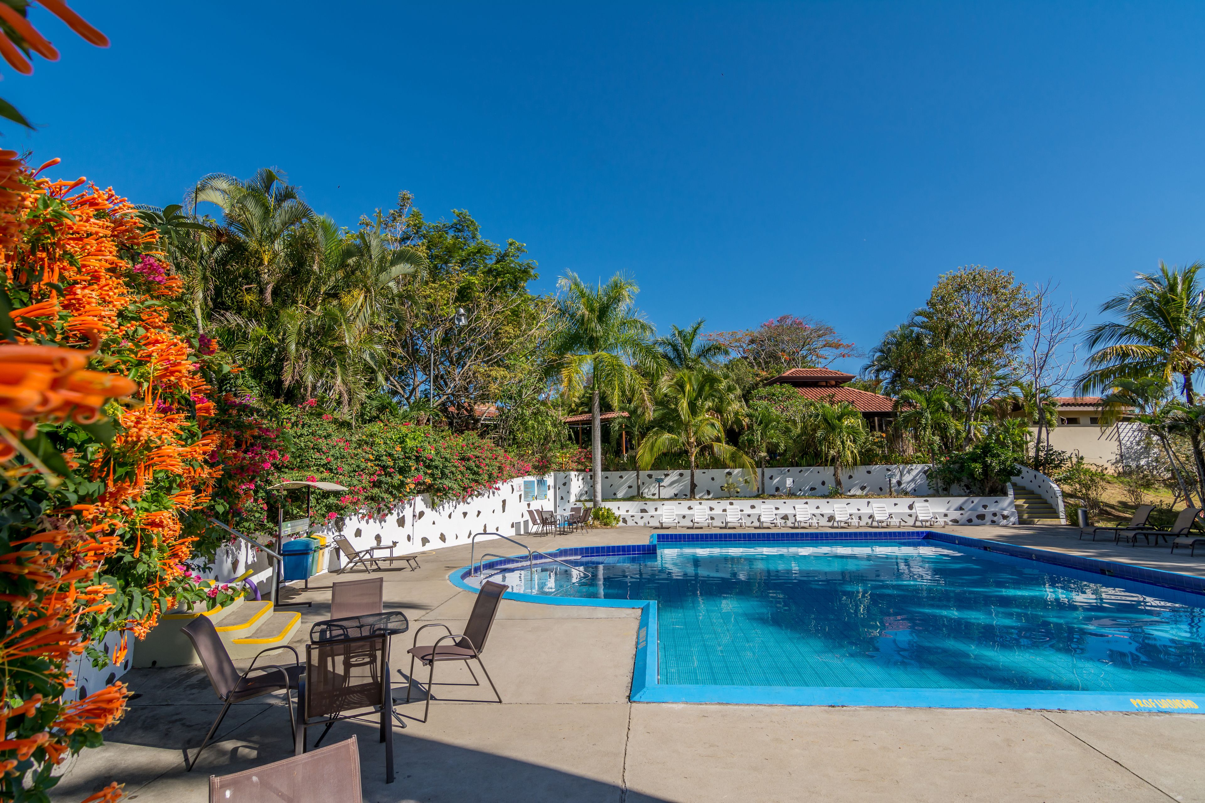 A swimming pool with lounge chairs and a dining area, surrounded by palm trees and tropical plants.