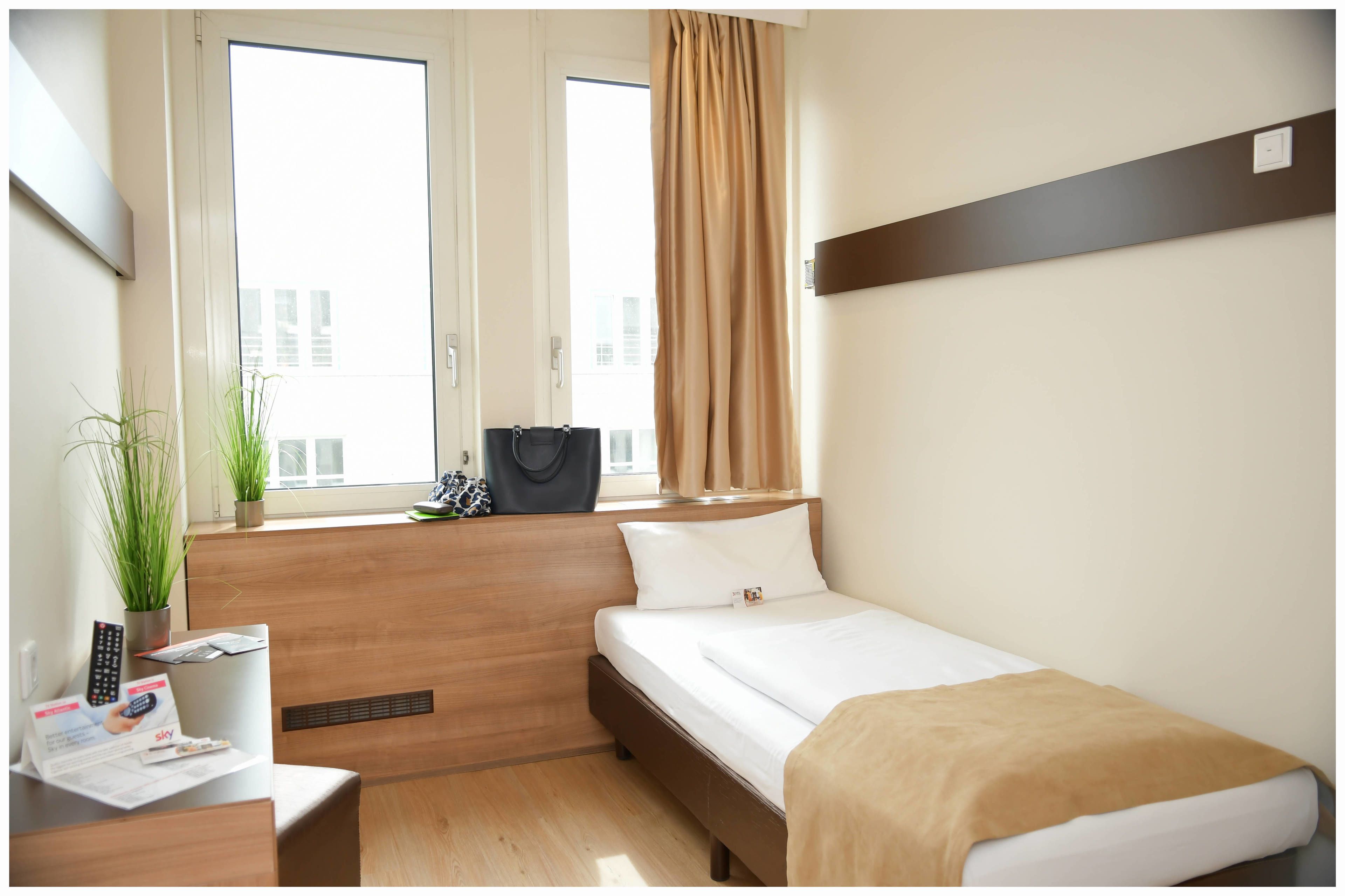 A compact hotel room with a single bed, a small desk with a chair, a potted plant, and a window with curtains.