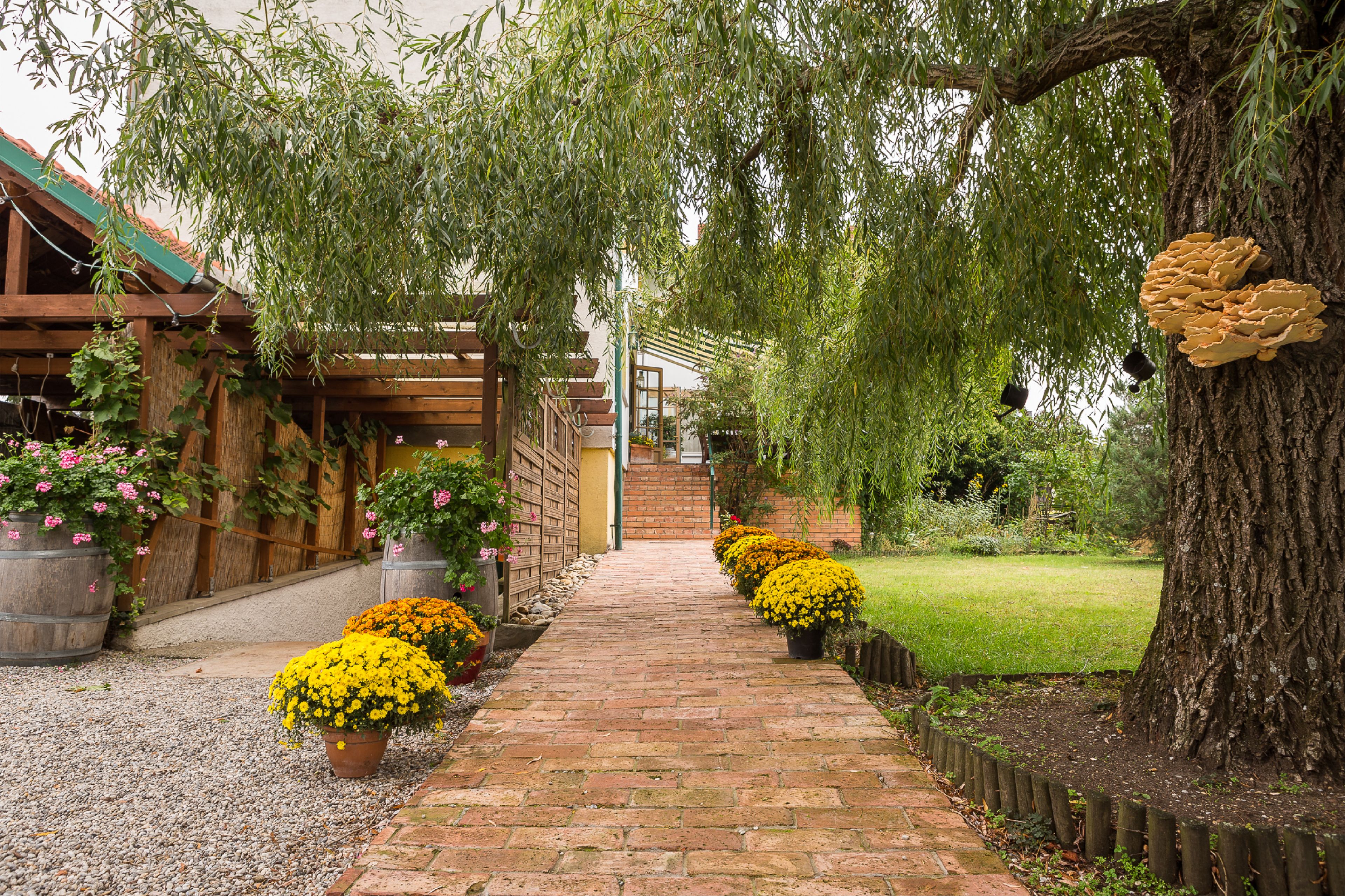 Khuôn viên nơi lưu trú