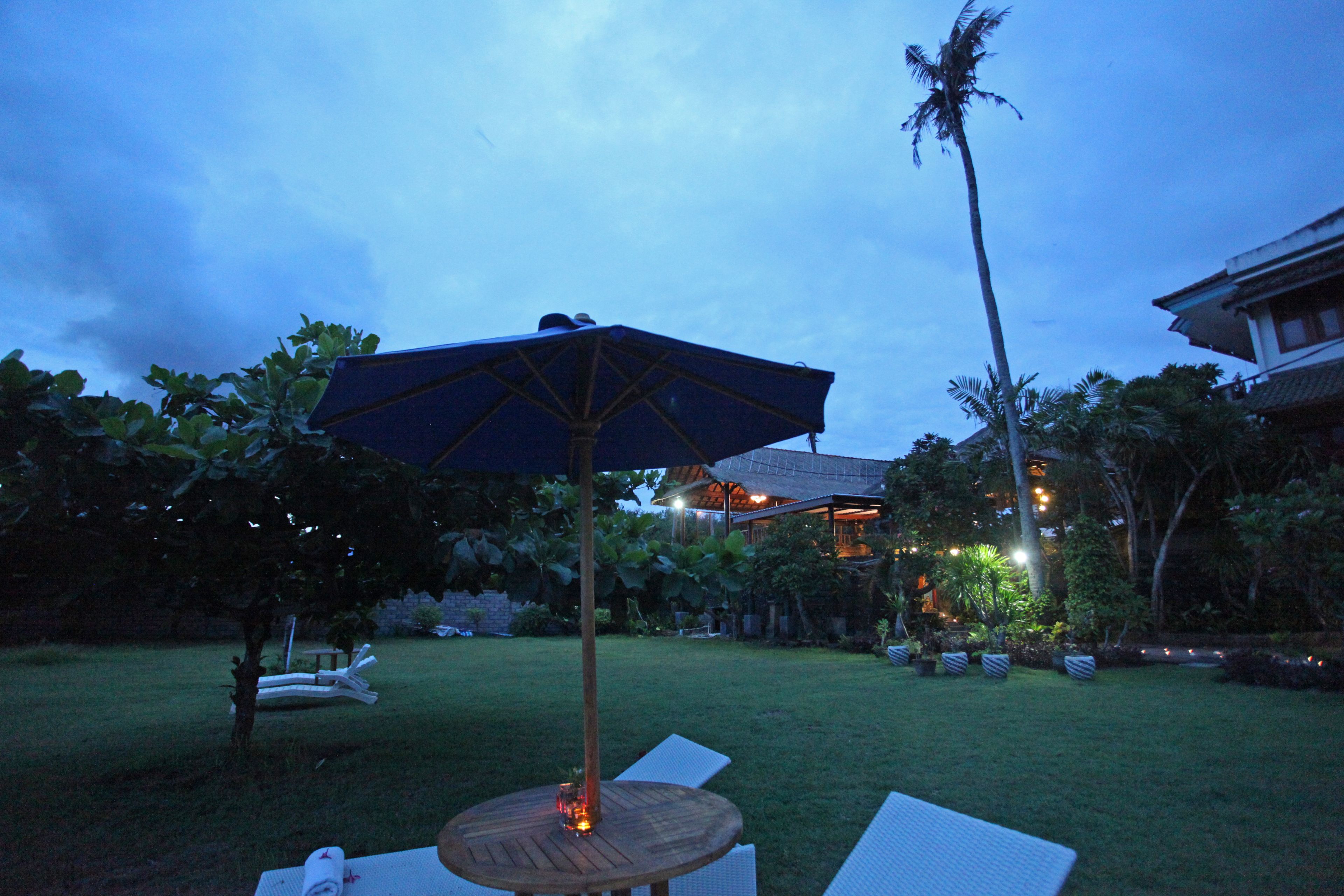 An outdoor seating area with a table and chairs, a large umbrella, and a tall palm tree.