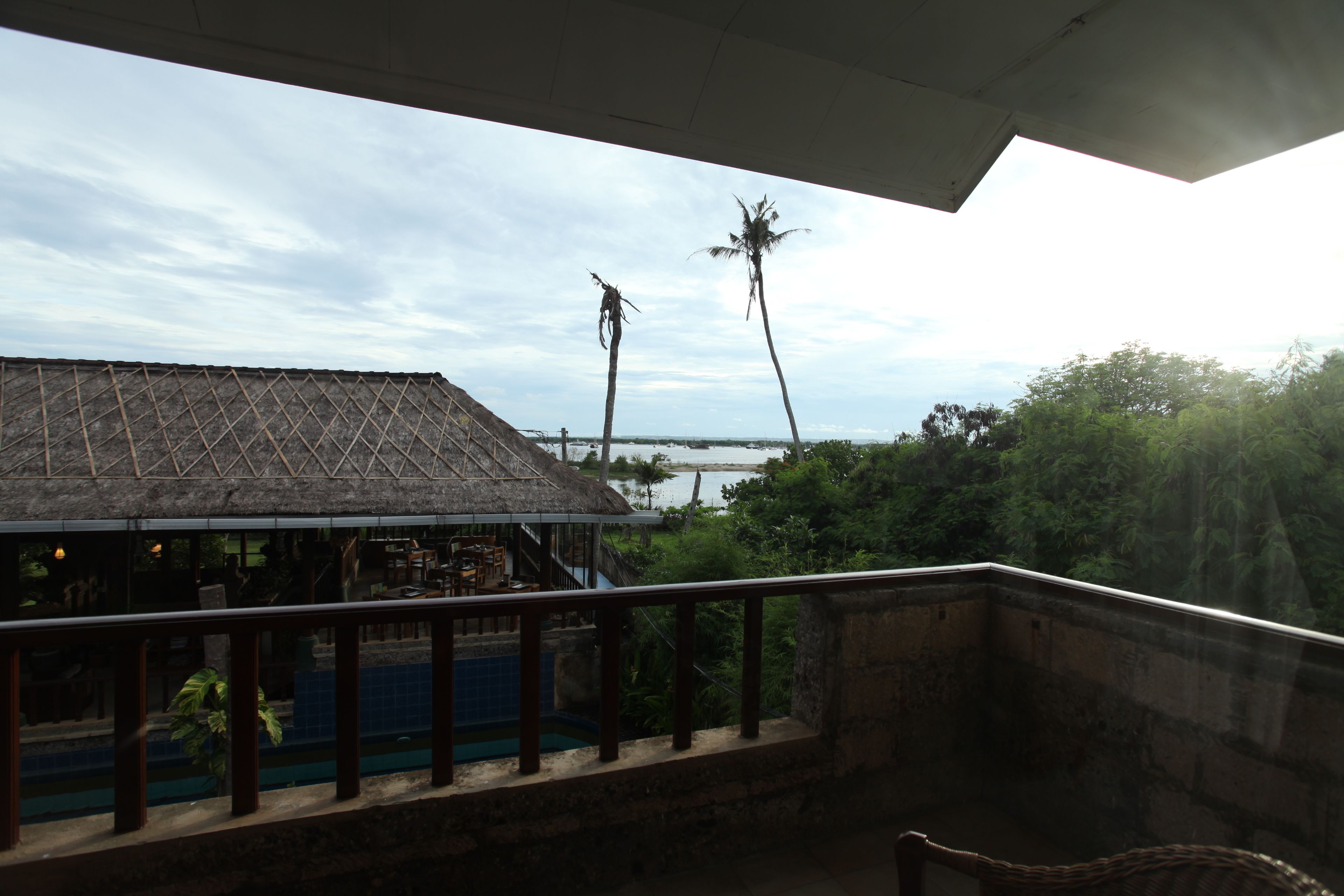 Vista de uma varanda para uma área de piscina com estrutura de telhado de palha e uma palmeira.