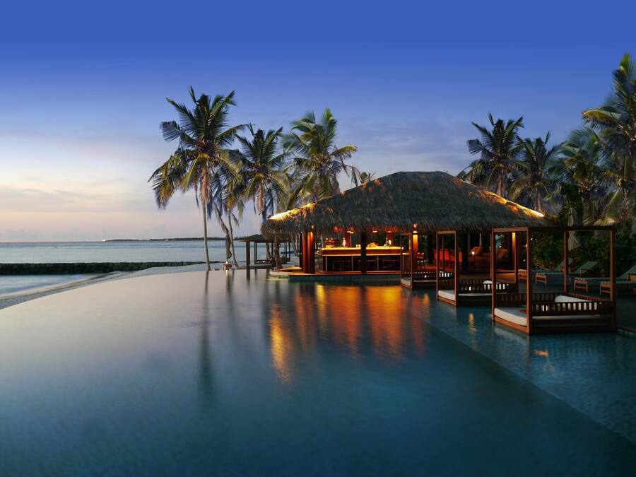 An infinity pool with a thatched-roof structure, palm trees, and a view of the ocean.