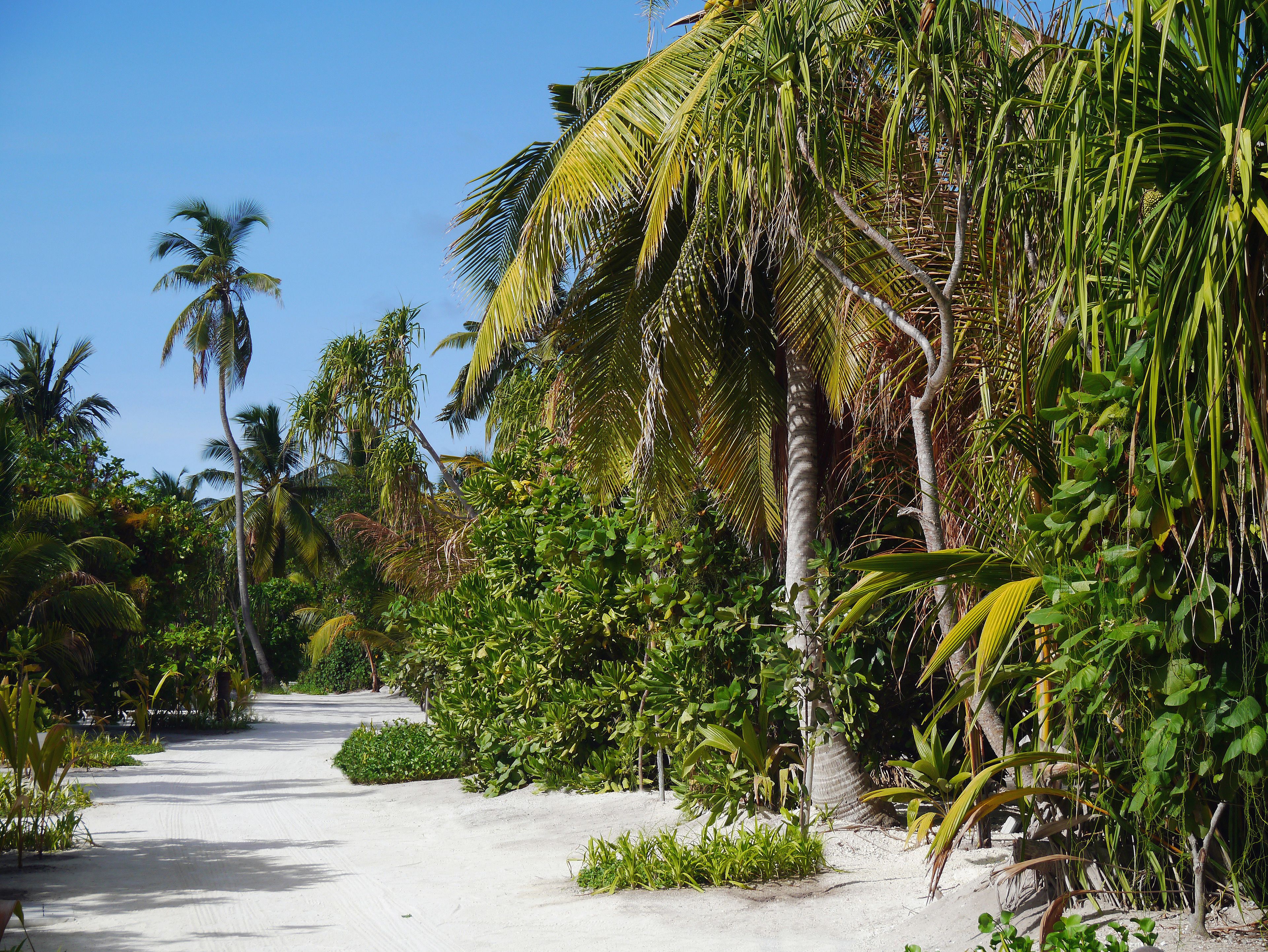 private beach, white sand, sun-loungers, beach umbrellas