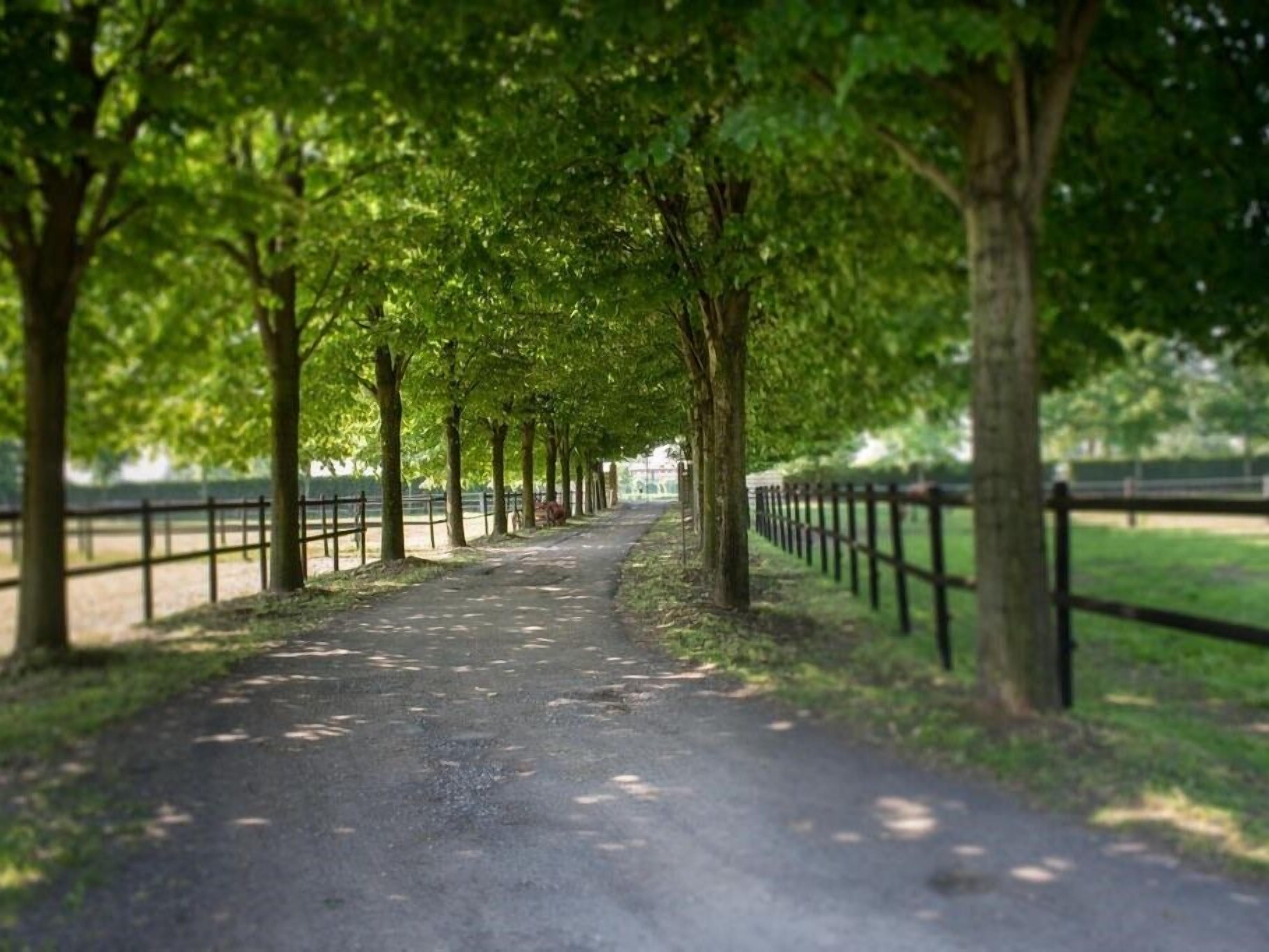 Photo - San Giacomo Horses & Agriturismo