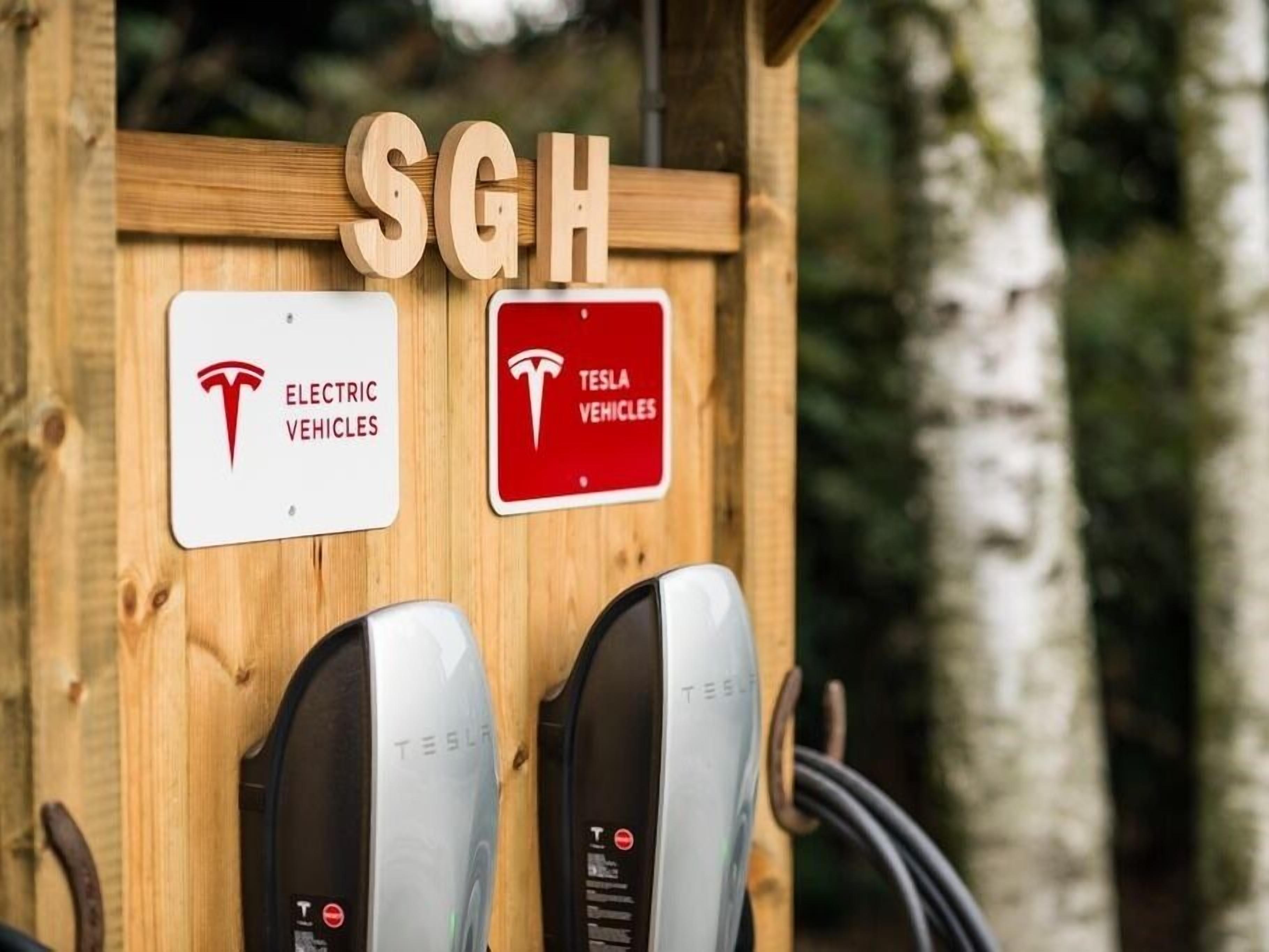 Photo - San Giacomo Horses & Agriturismo