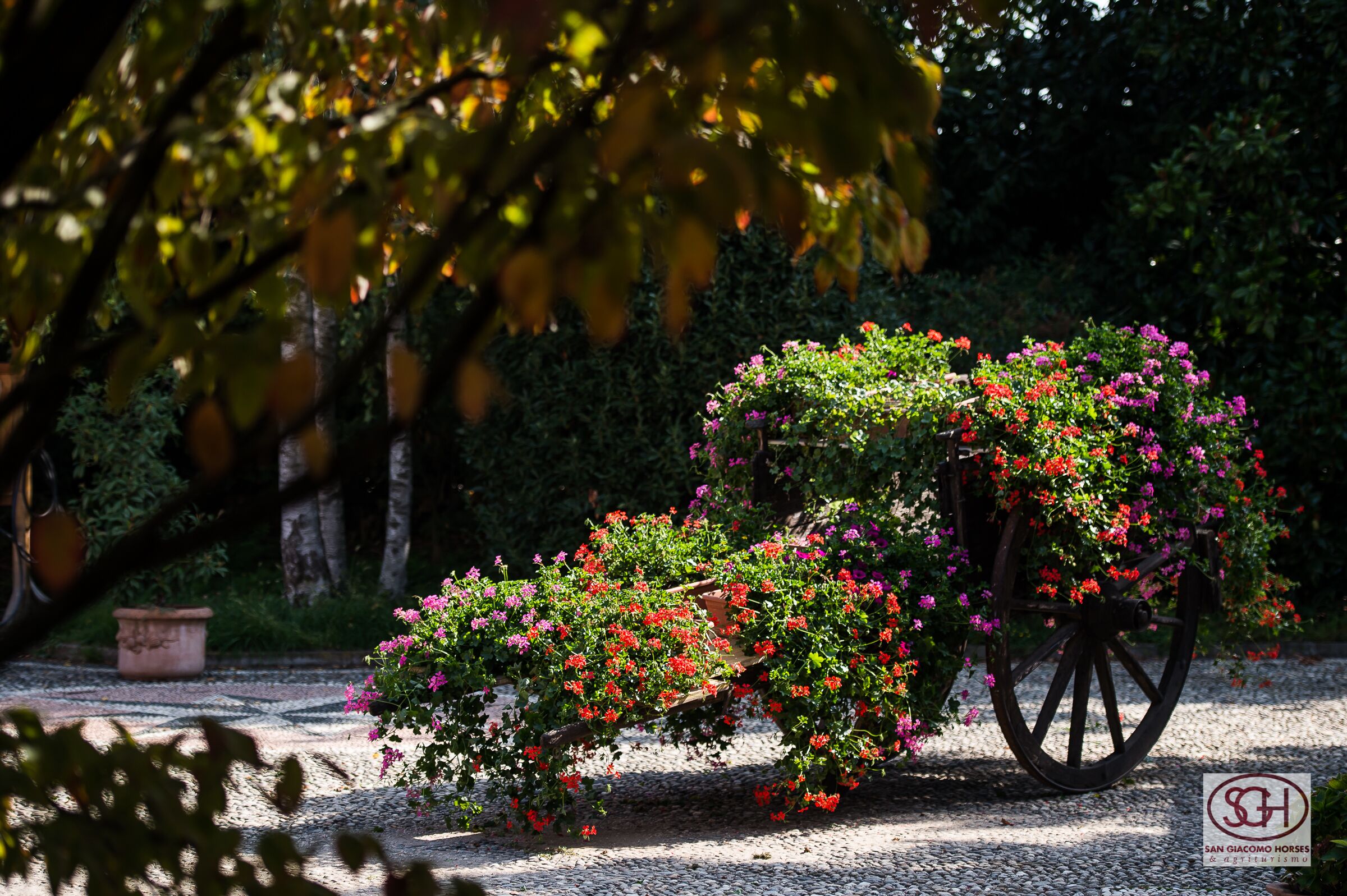 Photo - San Giacomo Horses & Agriturismo